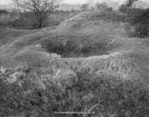 Chancellor’s Farm 01