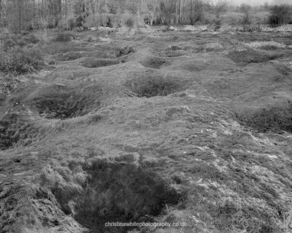 Chancellor’s Farm 02