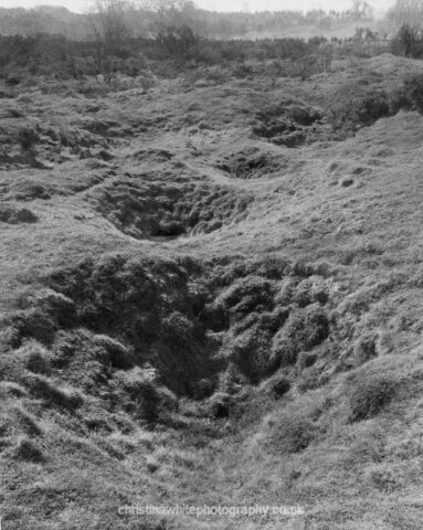 Chancellor’s Farm 03