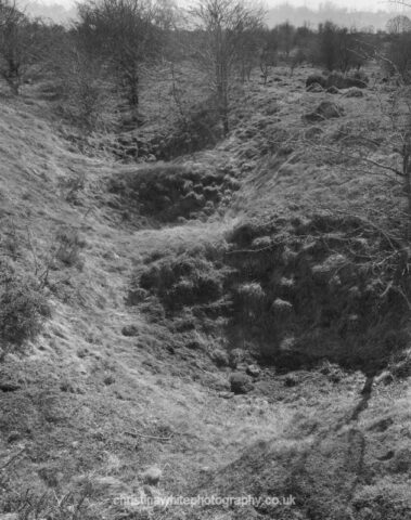 Chancellor’s Farm 04