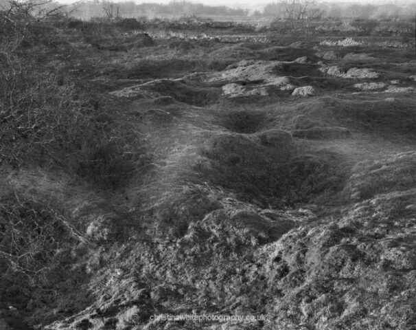 Chancellor’s Farm 05