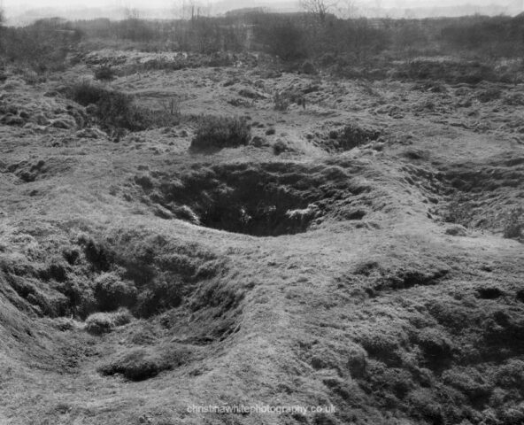 Chancellor’s Farm 06