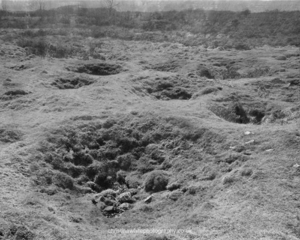 Chancellor’s Farm 07