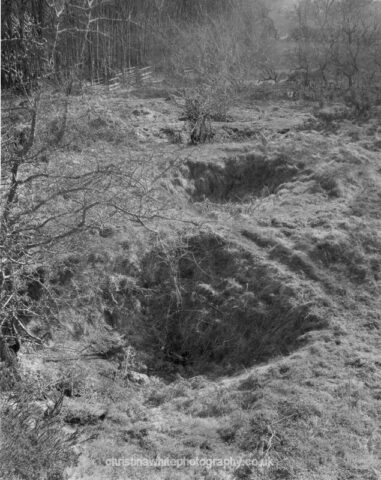 Chancellor’s Farm 08