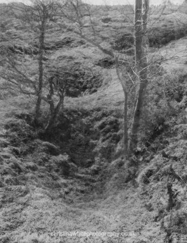 Chancellor’s Farm 09