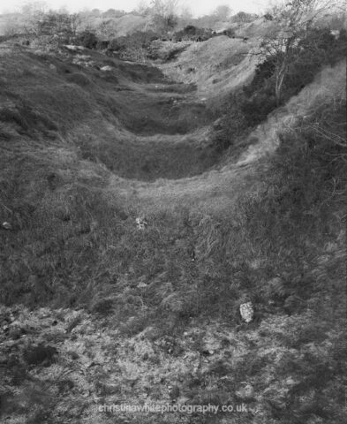 Chancellor’s Farm 10