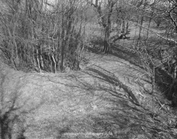 Chancellor’s Farm 11