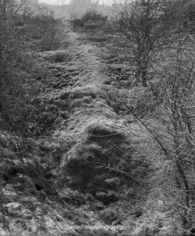 Chancellor’s Farm 14