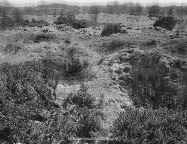 Chancellor’s Farm 15