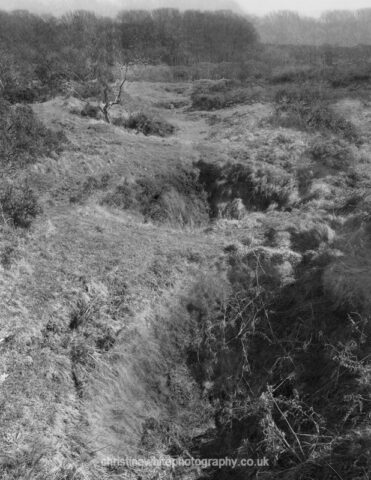 Chancellor’s Farm 16