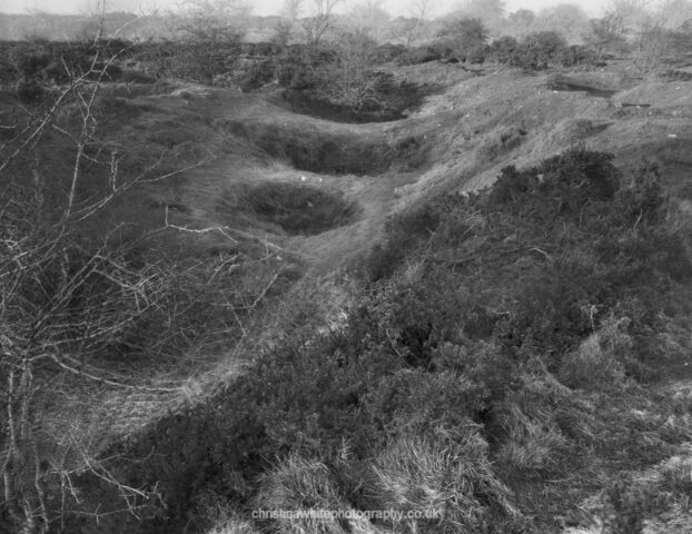 Chancellor’s Farm 17