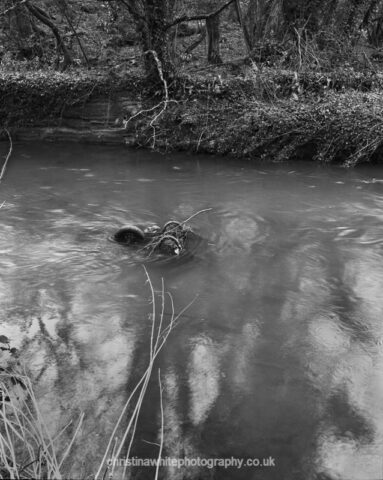 Fussells Ironworks 01