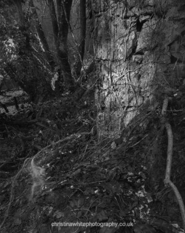 Fussells Ironworks 22