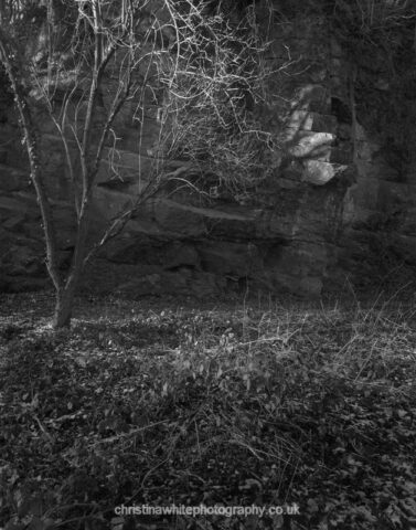 Fussells Ironworks 23