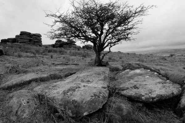 Mendip Exmoor and Dartmoor 1