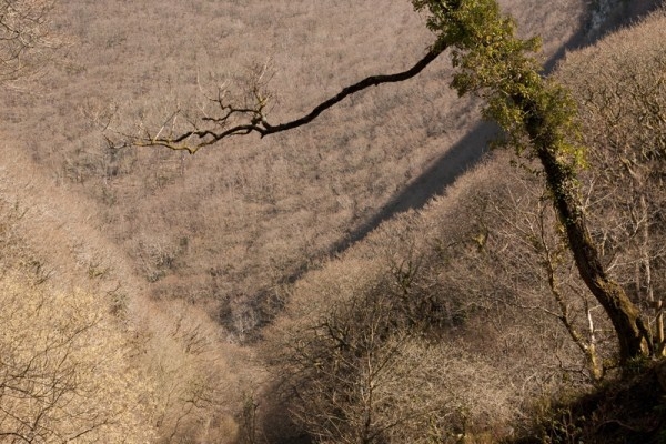 Mendip Exmoor and Dartmoor 4