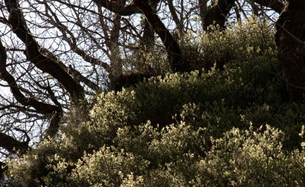 Mendip Exmoor and Dartmoor 5