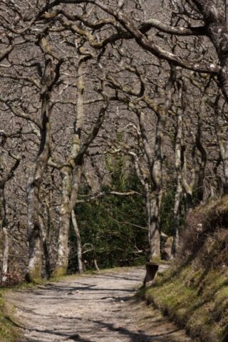 Mendip Exmoor and Dartmoor 6