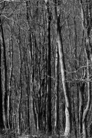 Mendip Exmoor and Dartmoor 7