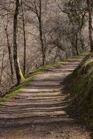 Mendip Exmoor and Dartmoor 9