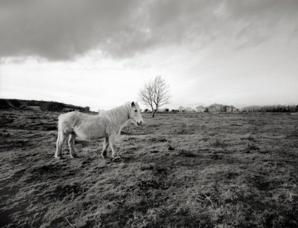 Mendip Exmoor and Dartmoor 12