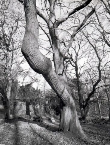 Mendip Exmoor and Dartmoor 13