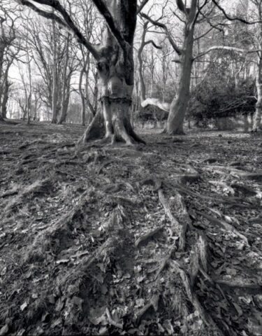 Mendip Exmoor and Dartmoor 14