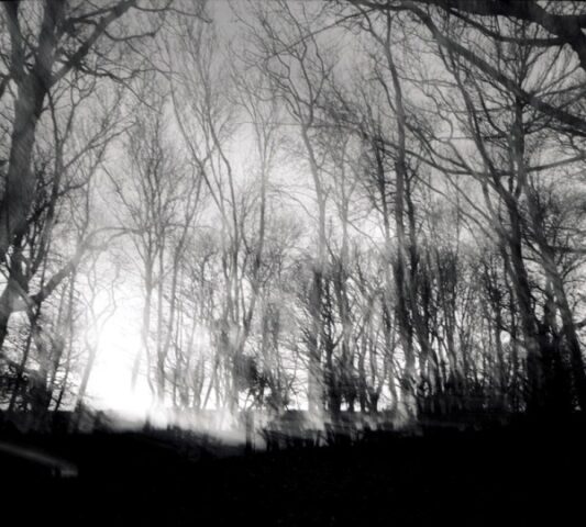 Mendip Exmoor and Dartmoor 15