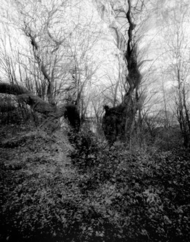 Mendip Exmoor and Dartmoor 16