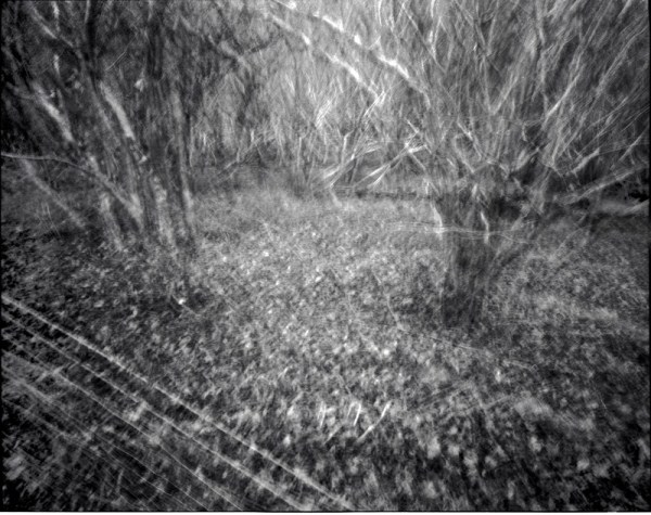 Mendip Exmoor and Dartmoor 17