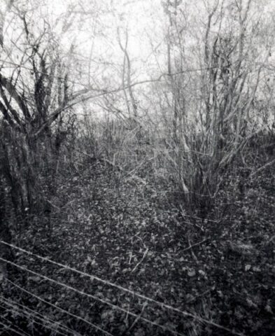 Mendip Exmoor and Dartmoor 18