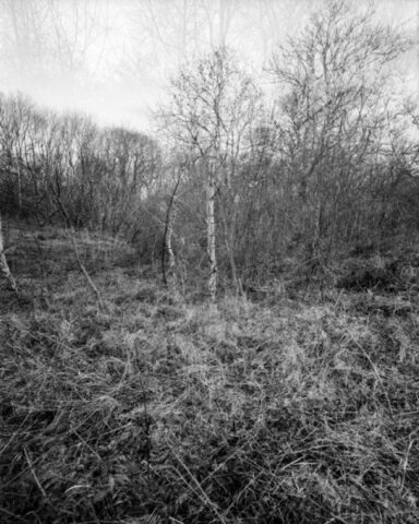 Mendip Exmoor and Dartmoor 19