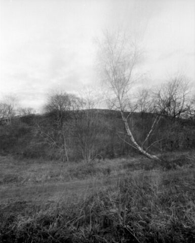 Mendip Exmoor and Dartmoor 20