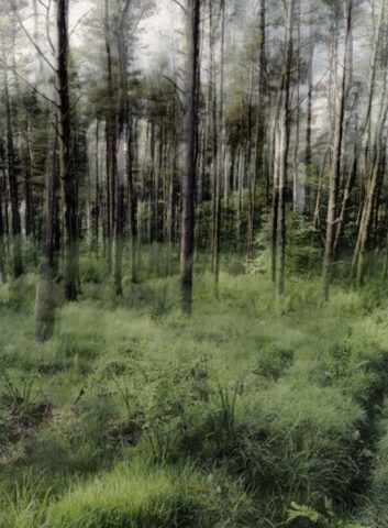 Smitham Chimney, East Harptree 02