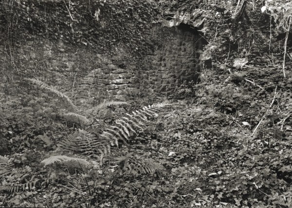 St. Cuthbert's Lead Works, Priddy Mineries 01