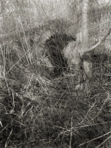 St. Cuthbert's Lead Works, Priddy Mineries 04