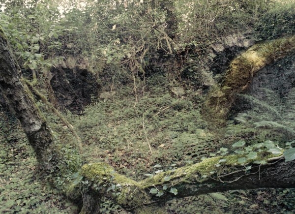 St. Cuthbert's Lead Works, Priddy Mineries 07