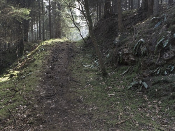 Stockhill Woods Former Collection 01