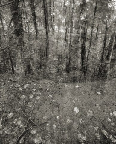 Stockhill Woods Former Collection 17