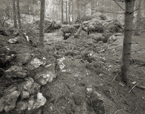 Stockhill Woods Former Collection 16