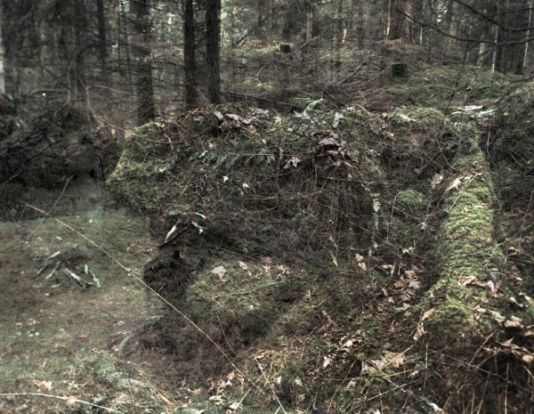 Stockhill Woods Former Collection 13