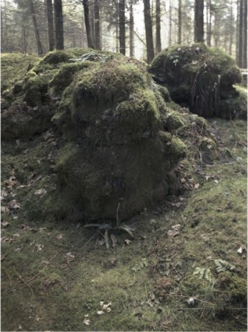 Stockhill Woods Former Collection 03