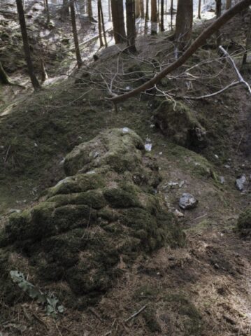 Stockhill Woods Former Collection 05