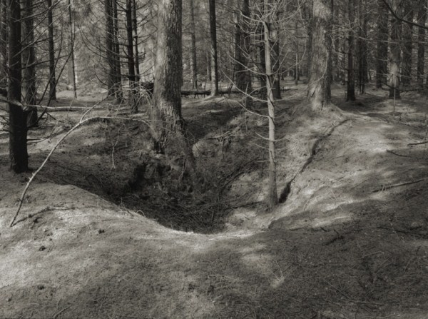 Stockhill Woods Former Collection 06