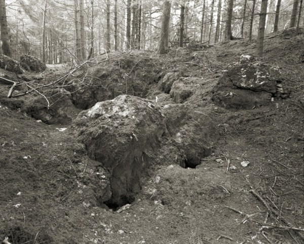 Stockhill Woods Former Collection 07