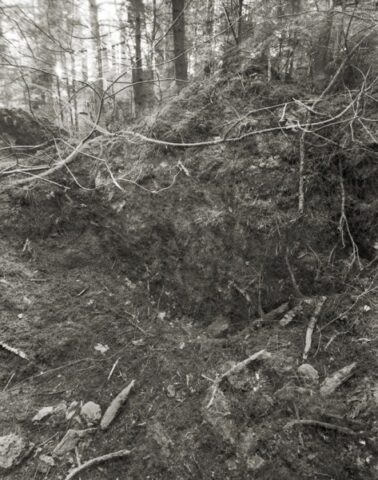 Stockhill Woods Former Collection 08