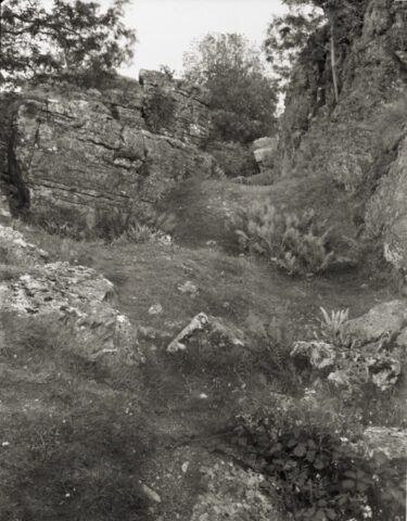 Ubley Warren Charterhouse 03