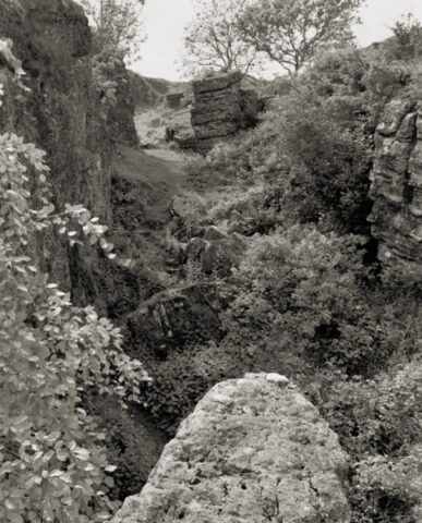 Ubley Warren Charterhouse 11