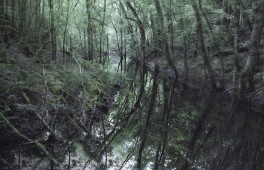 A disused quarry with evidence of railway tracks.