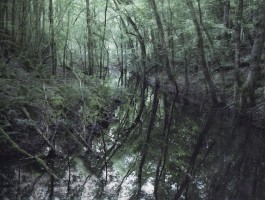 A disused quarry with evidence of railway tracks.